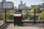 Weber Spirit E-210 2-Burner Liquid Propane Grill