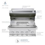 Spire 5 Burner Built-In Gas Grill - 30 Inch