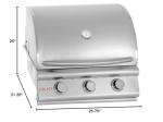 Blaze 25-Inch Built-In Propane Gas Grill