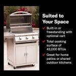 Blaze 25-Inch Built-In Propane Gas Grill