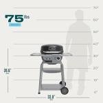 Bistro Pro Electric Grill and Charcoal Combo