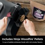 Ninja Woodfire 6-in-1 Grill and Smoker