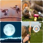 Gosky 20-60x80 Spotting Scope Bundle