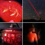 Adjustable Red Light Flashlight for Astronomy Beginners