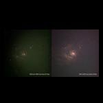 ZWO Duo-Band Light Pollution Reduction Filter 1.25