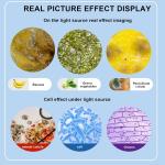 Trinocular Microscope with 40X-5000X Magnification