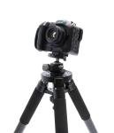 iOptron 40mm Carbon Fiber Tripod for Beginners