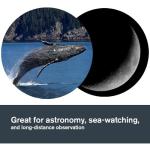 Celestron SkyMaster 25x100 Binoculars for Stargazing