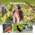 Dwarf 3 Smart Telescope - Perfect for Stargazing