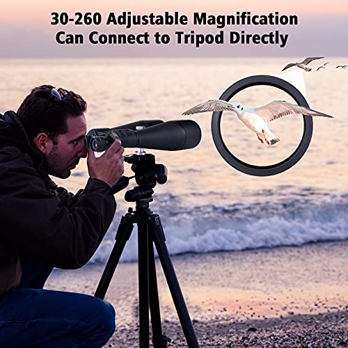 Beginner's Astronomy Binoculars: High Power 30-260X80