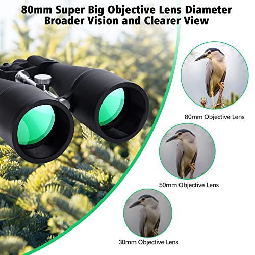 Beginner's Astronomy Binoculars: High Power 30-260X80