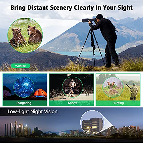 Beginner's Astronomy Binoculars: High Power 30-260X80