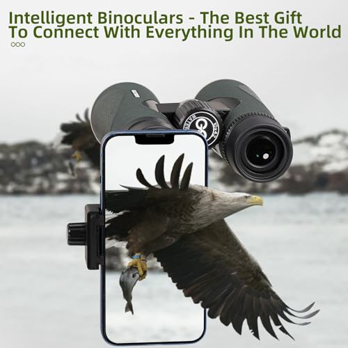 High Power HD Binoculars for Beginner Astronomers