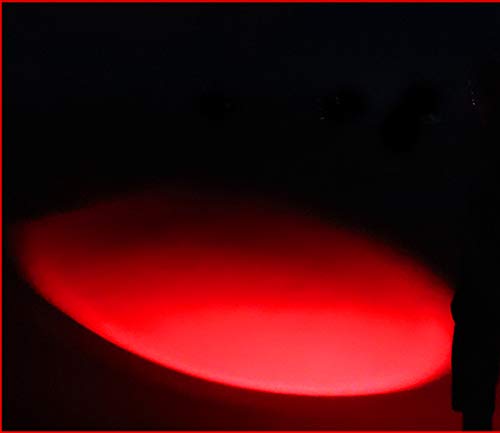RaySoar Red Light Flashlight - Astronomy & Outdoor Activities (2 PCS)