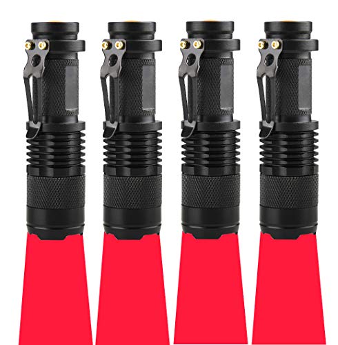 RaySoar Red Light Flashlight - Perfect for Astronomy
