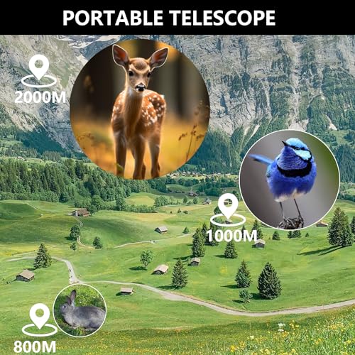 HD Monocular Telescope with Smartphone Holder for Beginners