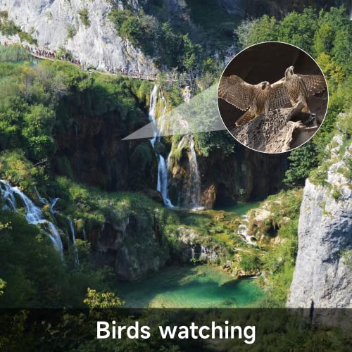 BEAVERLAB Smart Digital Astronomy Telescope, 500mm, Portable