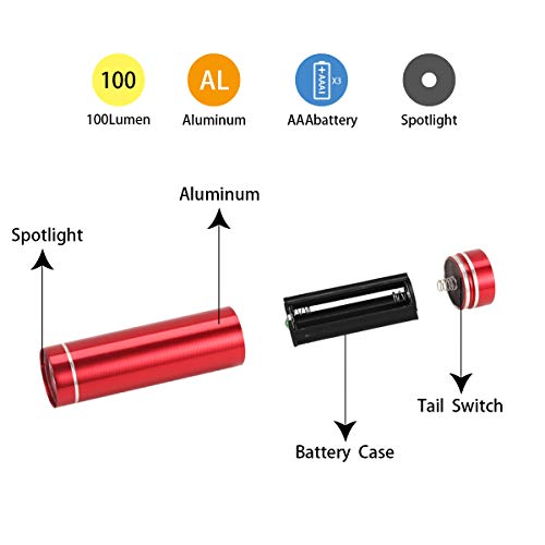 6 Pack Red Light Mini LED Flashlights for Beginners