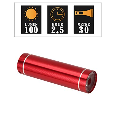 6 Pack Red Light Mini LED Flashlights for Beginners