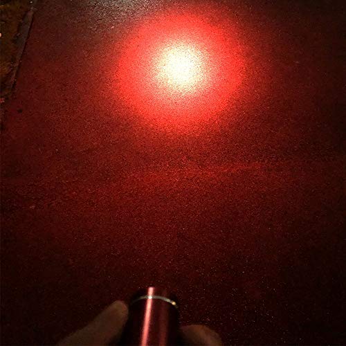 6 Pack Red Light Mini LED Flashlights for Beginners