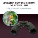 Oberwerk 8x32 Astronomy Binoculars for Beginners