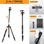 74-Inch MACTREM Aluminum Tripod & Monopod for Beginners