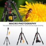 74-Inch MACTREM Aluminum Tripod & Monopod for Beginners