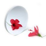 SKYOPTIKST D203F1270 Reflector Telescope Mirror