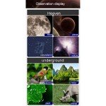 Beginner's Reflector Telescope with Adjustable Tripod