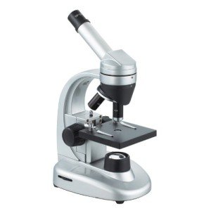 iOptron ST-80 Beginner Digital Microscope