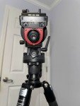 IOptron SkyGuider Pro Mount with Innorel RT75C Tripod
