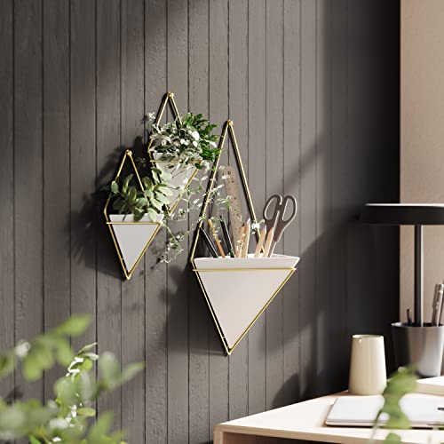 Umbra Trigg Wall Planter Vase for Succulents