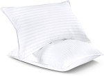 Fluffy Cotton Queen Bed Pillows - 2 Pack