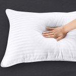 Fluffy Cotton Queen Bed Pillows - 2 Pack