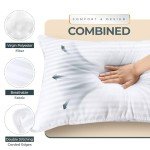 Fluffy Cotton Queen Bed Pillows - 2 Pack