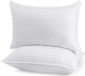 Fluffy Cotton Queen Bed Pillows - 2 Pack