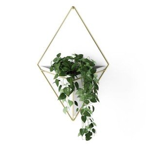 Umbra Trigg Wall Planter Vase for Succulents