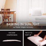 Comfortable Hypoallergenic Queen Sleep Pillows