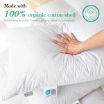 White Goose Feather Queen Bed Pillow - Medium Firm