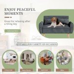 Dark Gray Modern Loveseat Sofa for Small Spaces