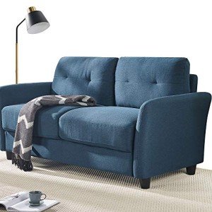 ZINUS Ricardo Blue Loveseat Sofa with Tufted Cushions