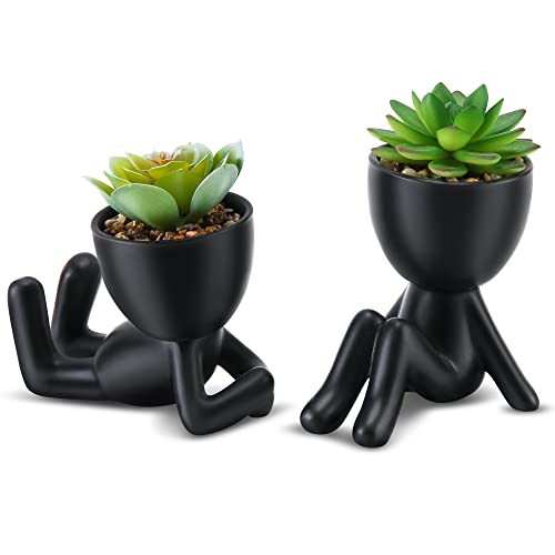 Modern ceramic pots with cute artificial succulents (2PCS)
