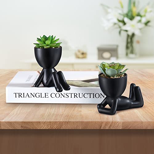 Modern ceramic pots with cute artificial succulents (2PCS)