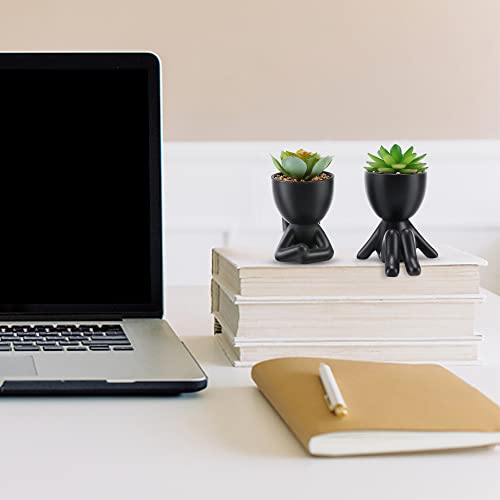 Modern ceramic pots with cute artificial succulents (2PCS)