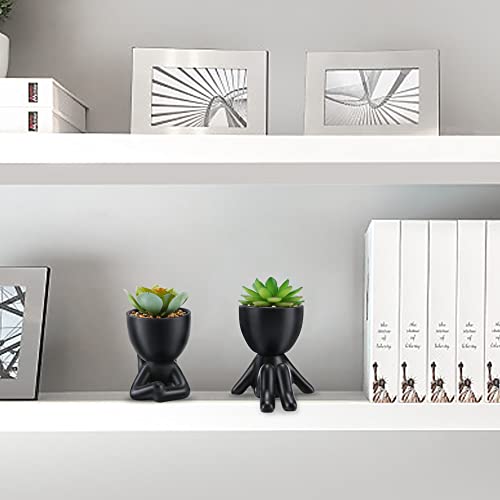 Modern ceramic pots with cute artificial succulents (2PCS)