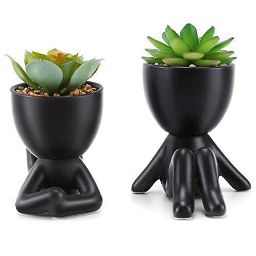 Modern ceramic pots with cute artificial succulents (2PCS)