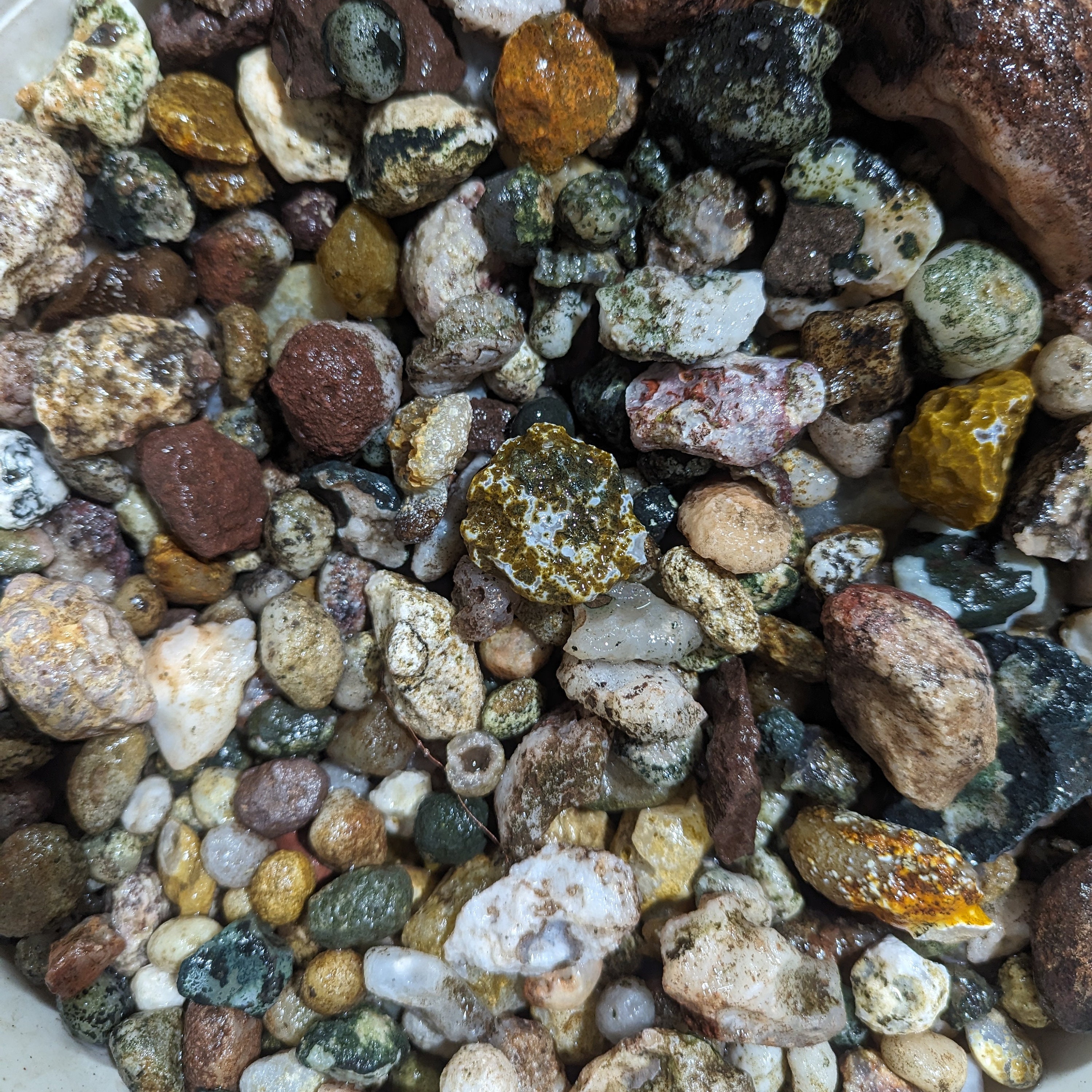 Tabasco Geodes – Whole & Very Small Geodes