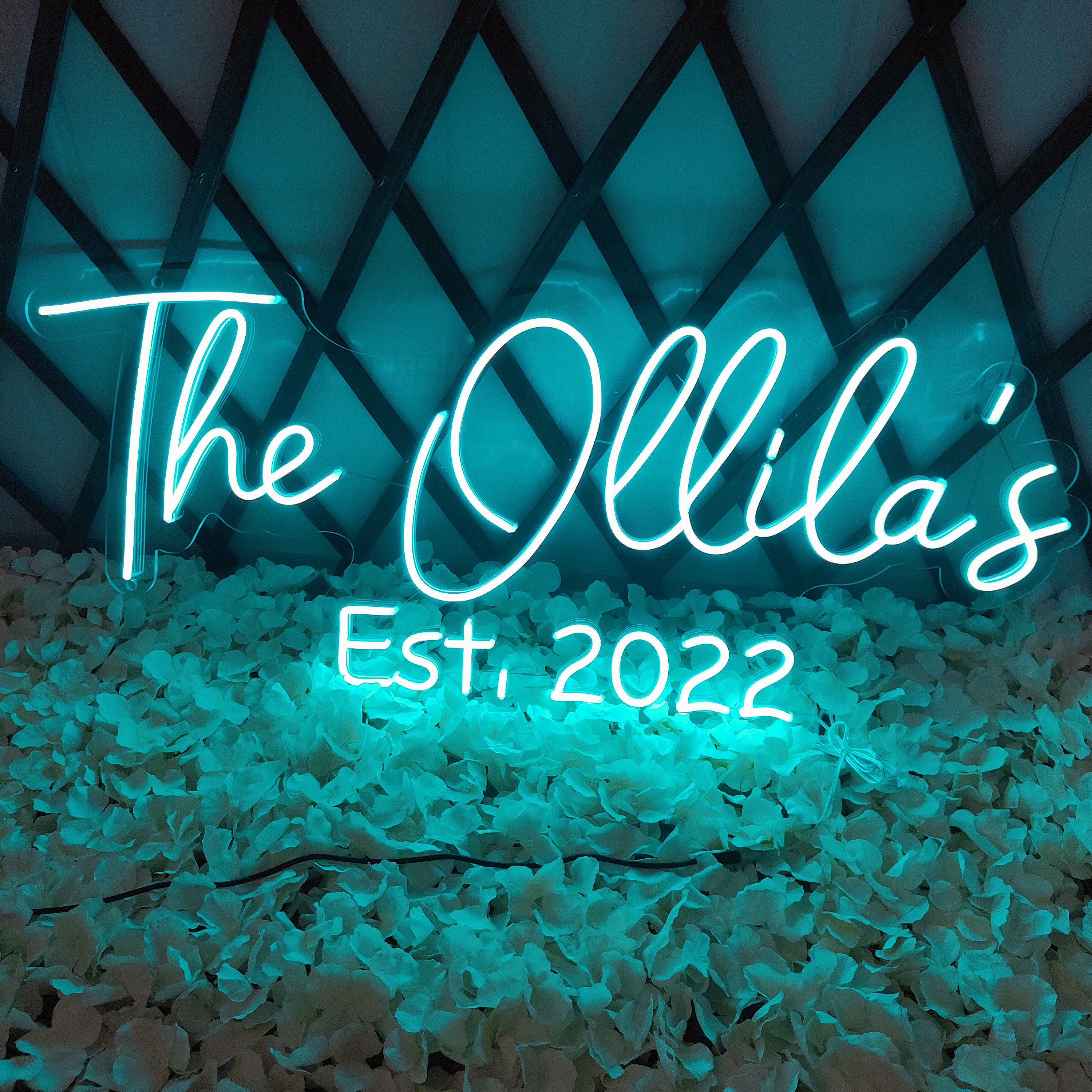 Customized Neon Last Name Wedding Sign for Wall Décor