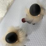 Viking Shield Sword with Wood and Knit Bundle