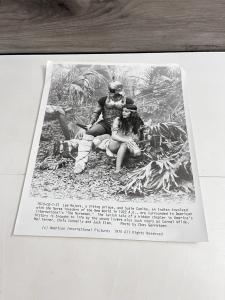 Norseman '78 Breastplate Armor Sword 8" x 9.75